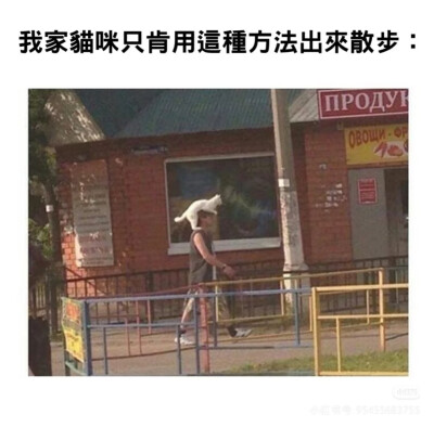 我是不会放弃收集这种图片的