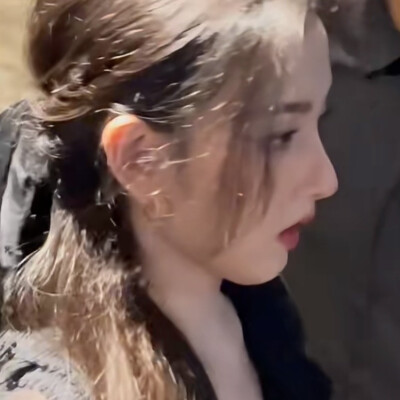 鹅