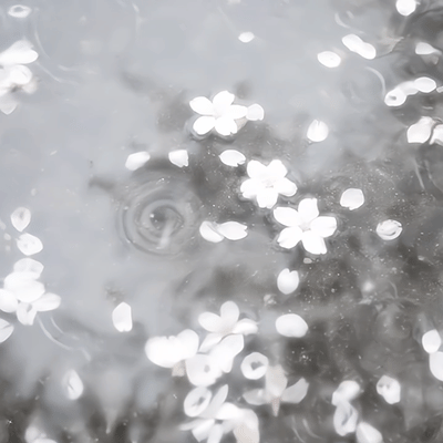  遇见你 就像小猫᳐ ੭的世界下了小鱼雨ಣ