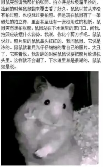 简介