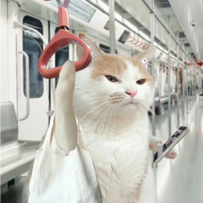 情人节 又怎样嘛