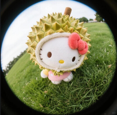 女头