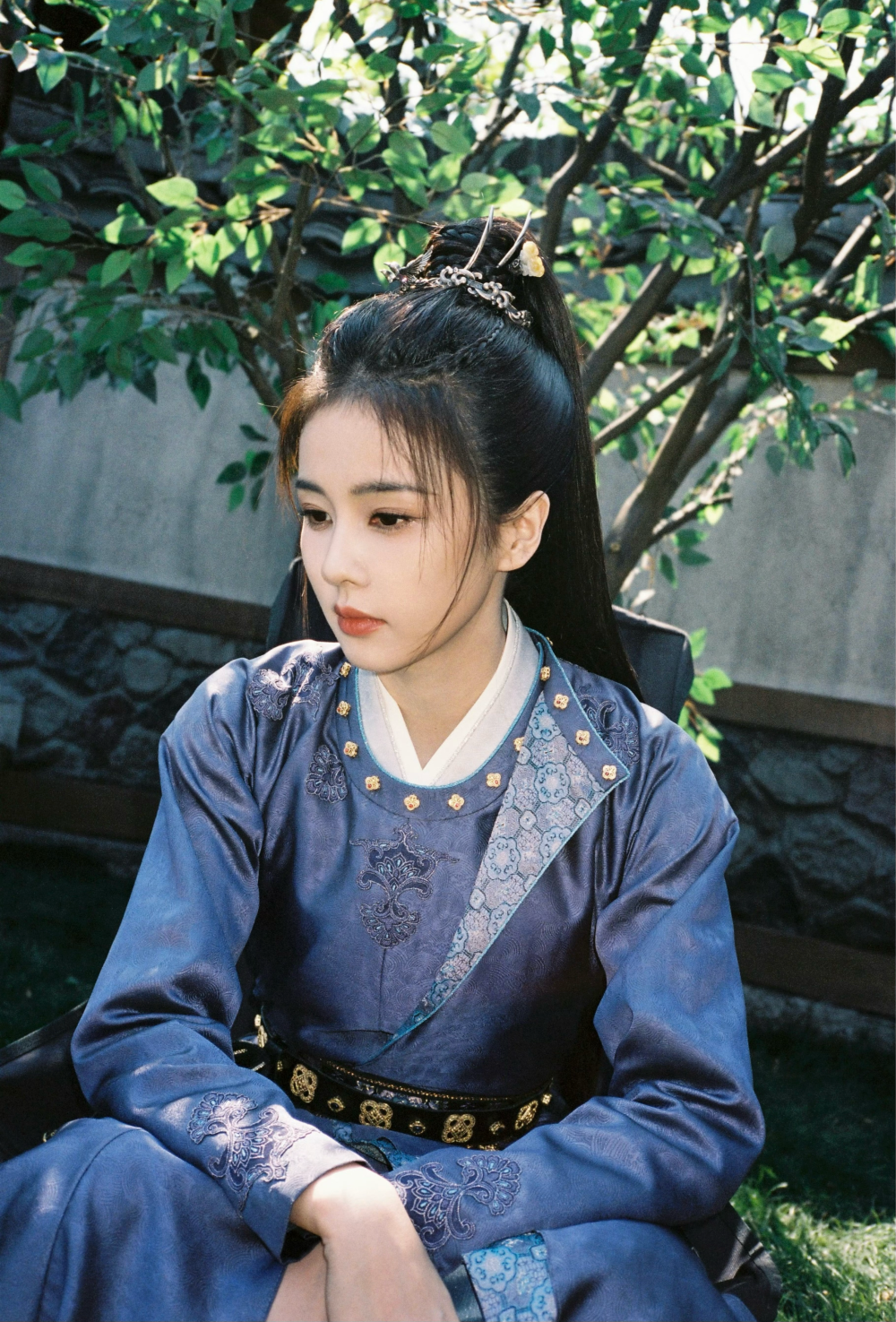 白鹿