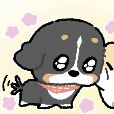 情头