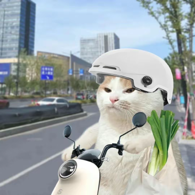 情人节 又怎样嘛