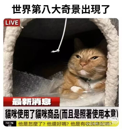 我是不会放弃收集这种图片的