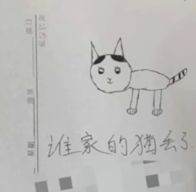 简介