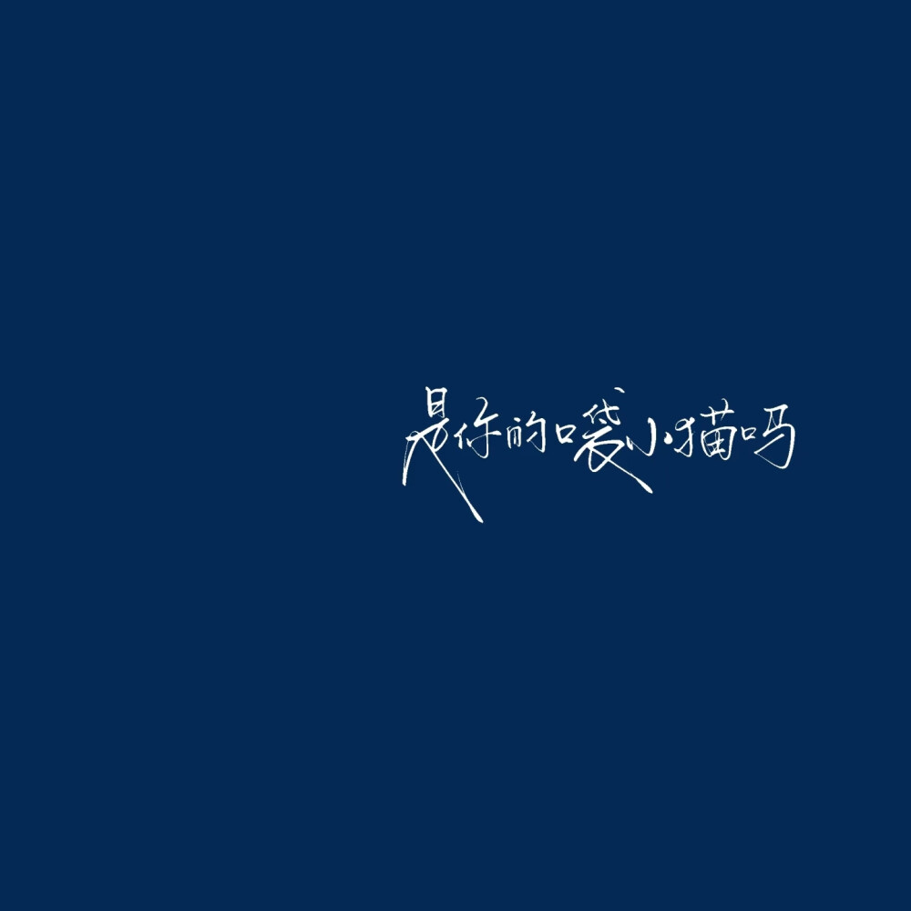 背景图^ω^
xhs：6763310409（贝壳）