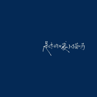 背景图^ω^
xhs：6763310409（贝壳）