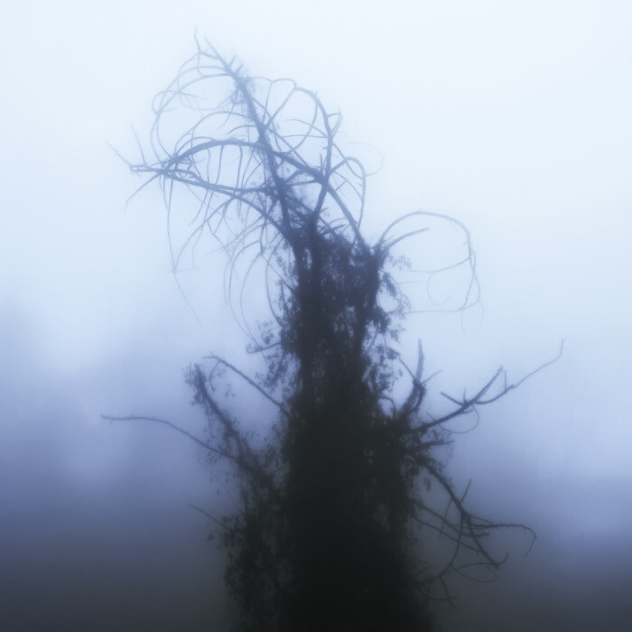 讨厌你带给我的坏情绪