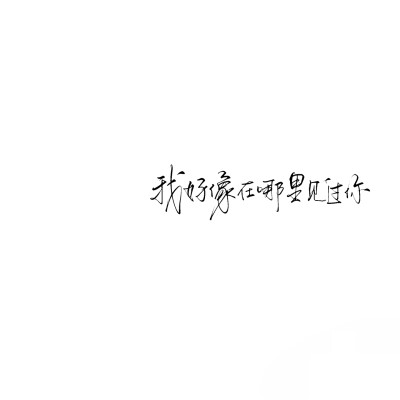 背景图^ω^
xhs：6763310409（贝壳）