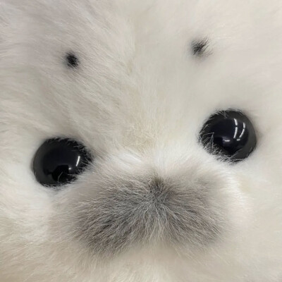 女头