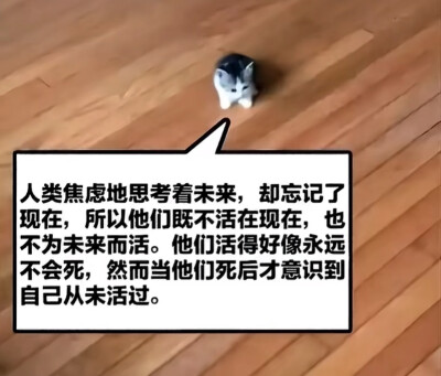 简介