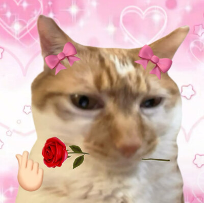 女头