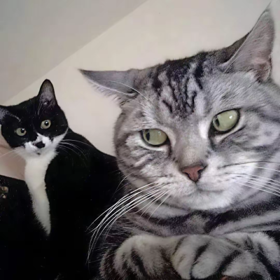 情人节 又怎样嘛