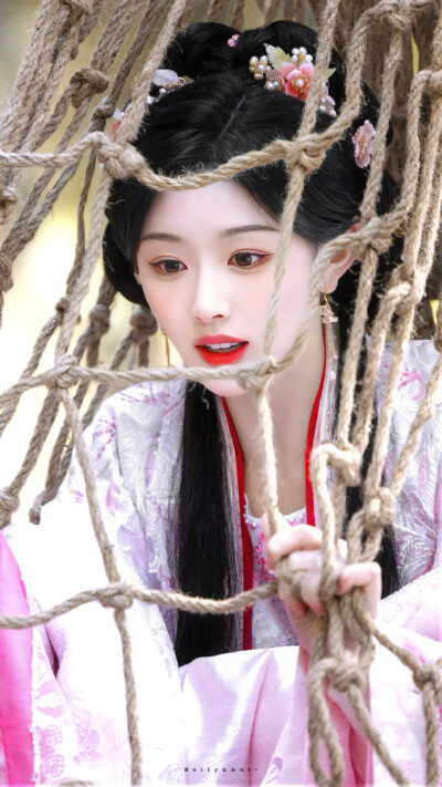 锦月如歌