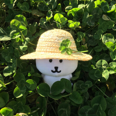 可爱头像