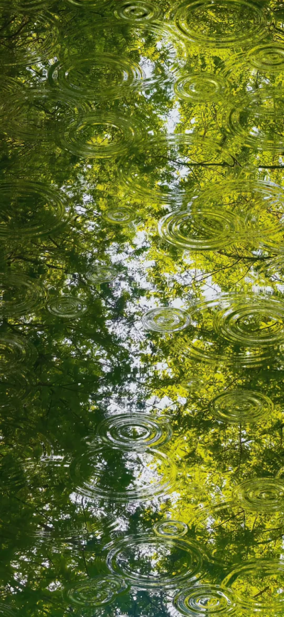 水