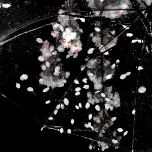 今天的我你爱搭不理 明天的我还来找你*^_^*