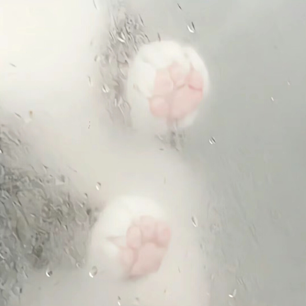自用