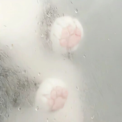 自用