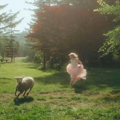情人节 又怎样嘛
