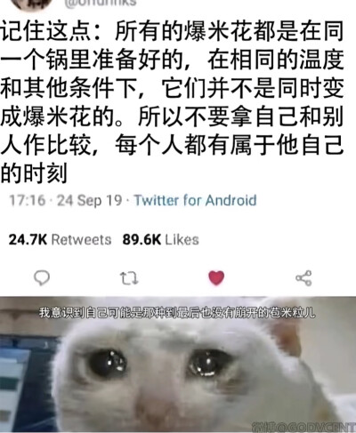 简介