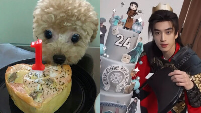 我家狗过生日了有人祝福一下吗