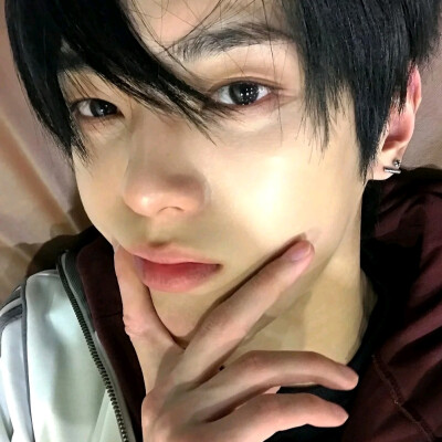 全李正