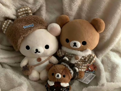 每天醒来就像奥特曼一样接受新的打击ᐠ‸ ᐟ