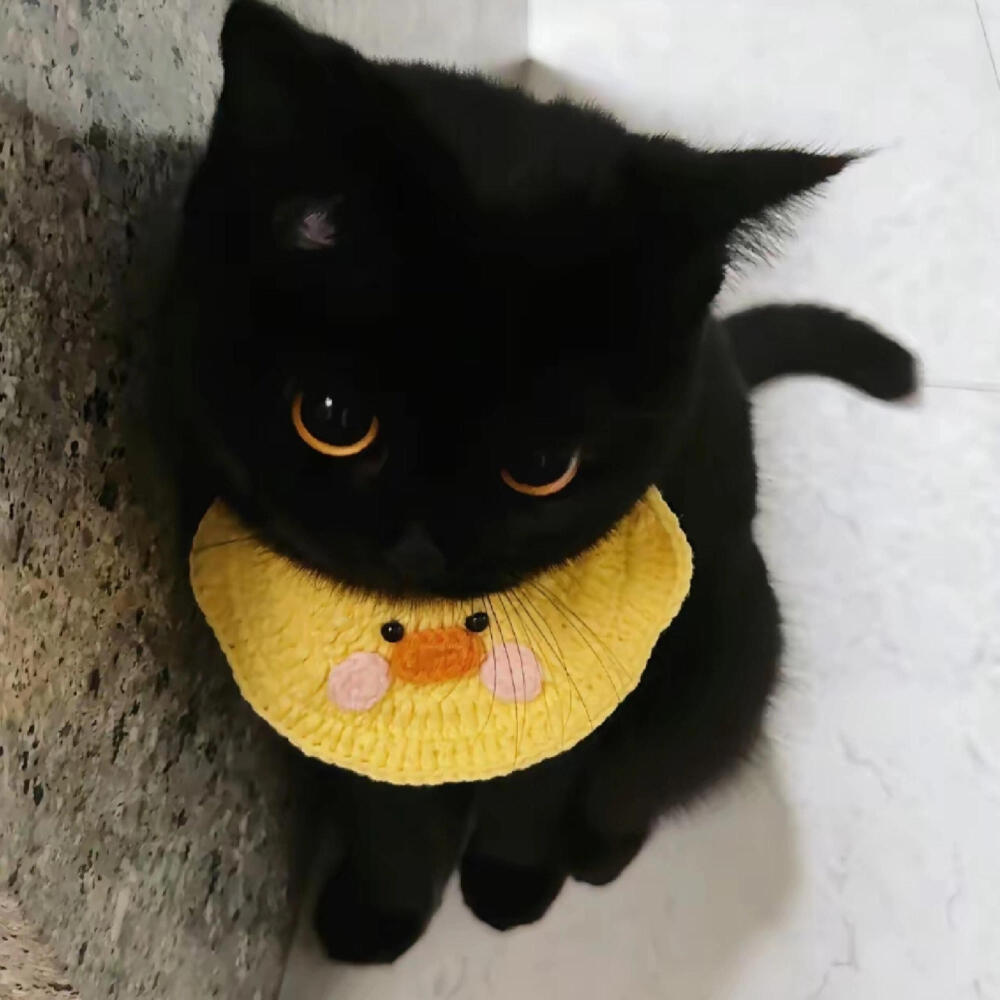 困在雨天的人 也会遇到心仪的伞(⑅•ᴗ•⑅)