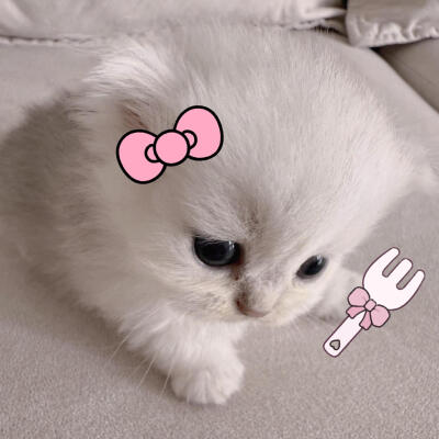 困在雨天的人 也会遇到心仪的伞(⑅•ᴗ•⑅)