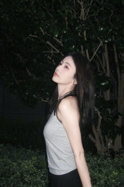 白鹿
