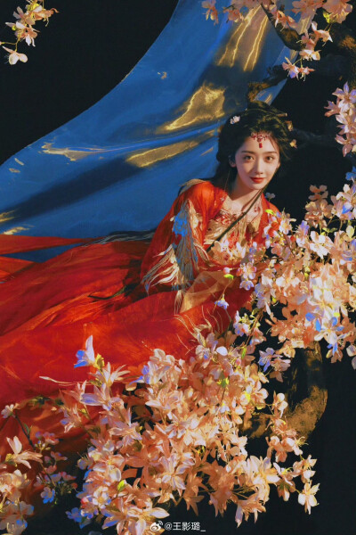 王影璐