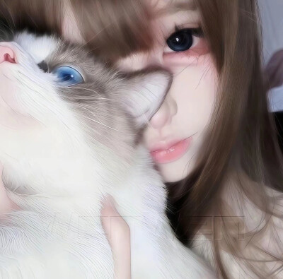权威女头