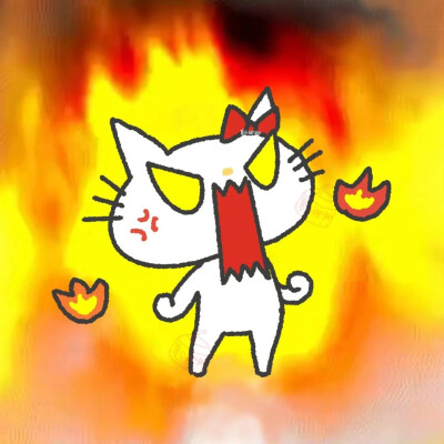 kitty