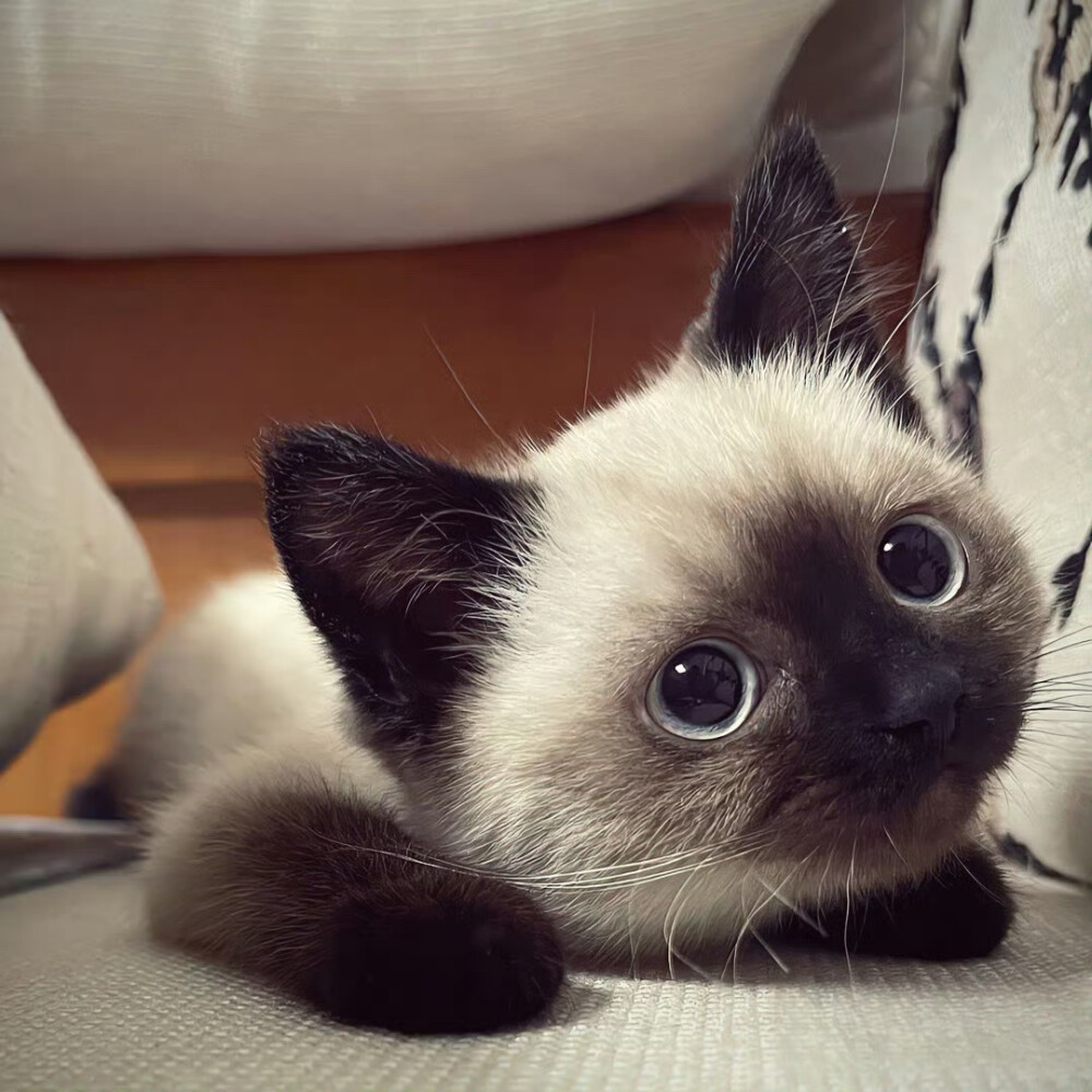 困在雨天的人 也会遇到心仪的伞(⑅•ᴗ•⑅)