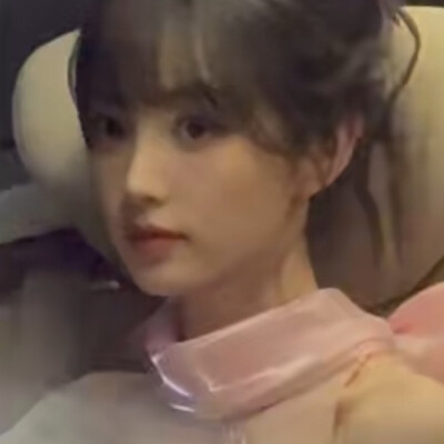 猫咪