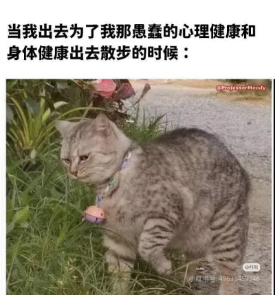 我是不会放弃收集这种图片的
