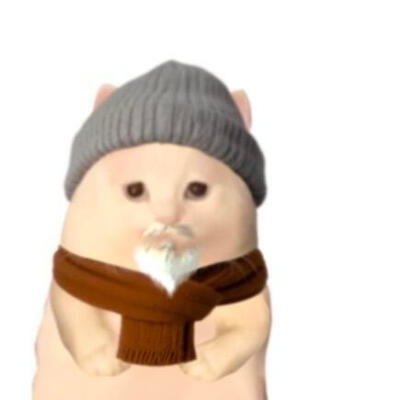 猫猫头像