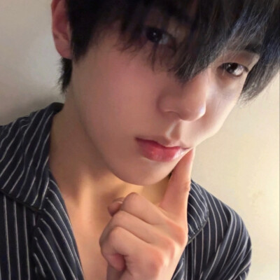 全李正