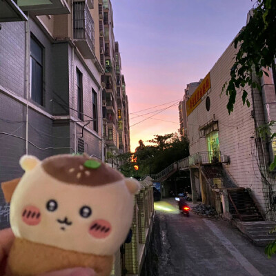 紫色背景图