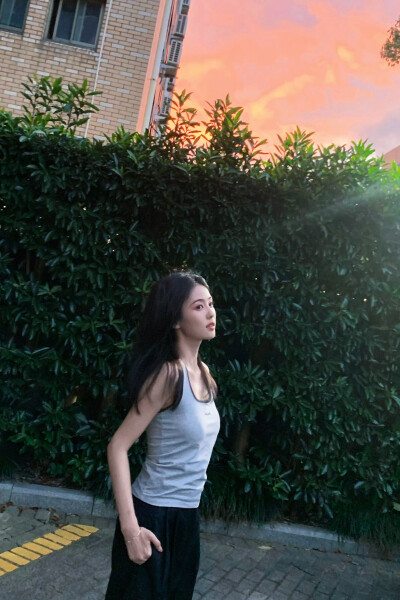 白鹿