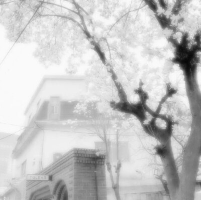 +/୧ ⑅ ⁺魔法少女亂七八糟的日常୨୧/⁺ ⑅