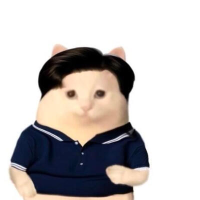 猫猫头像