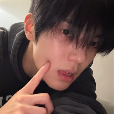 全李正
