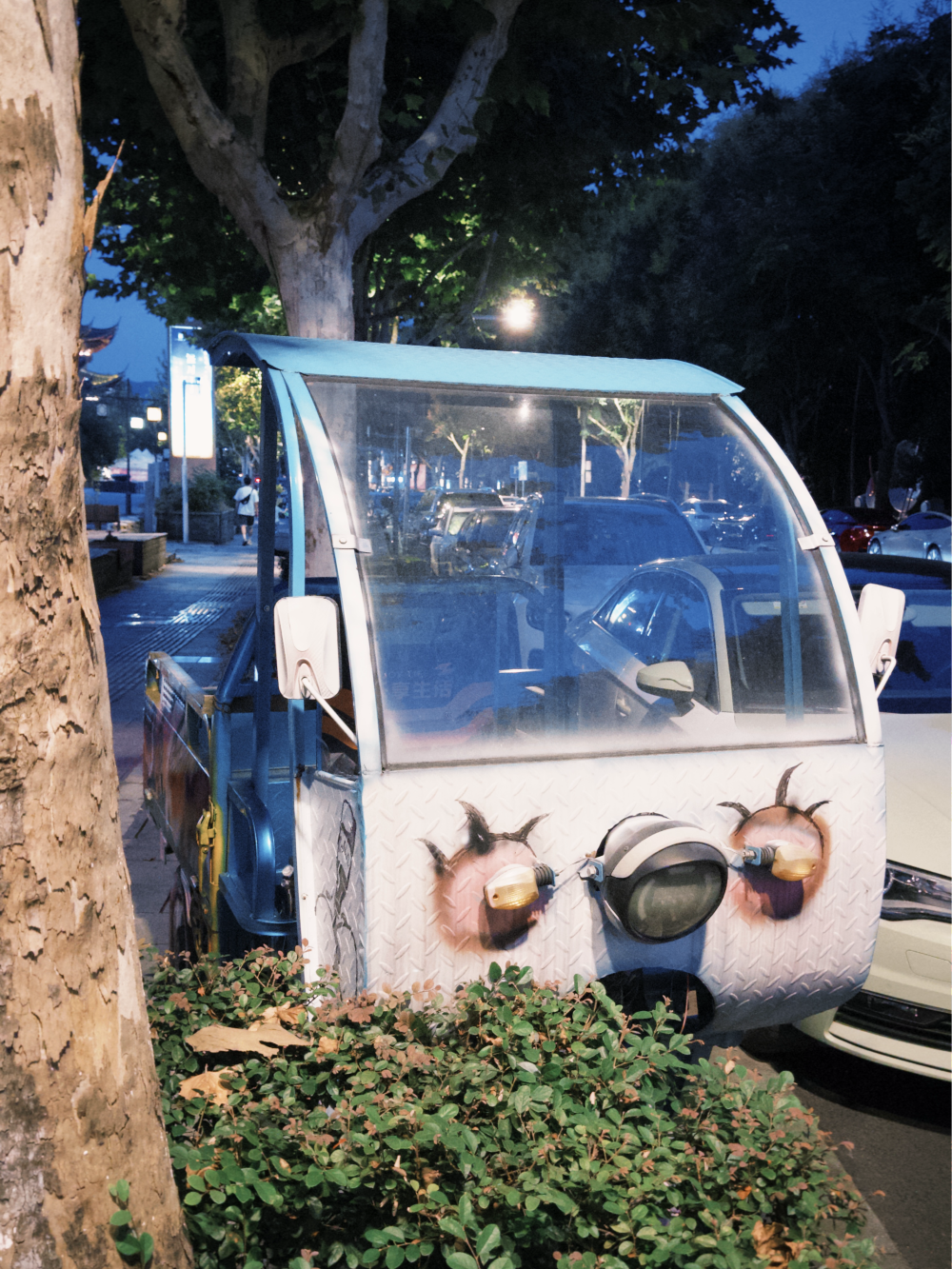 在丽水看到这辆车，她说很好笑，有眼睛嘴巴的