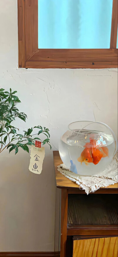 壁纸
