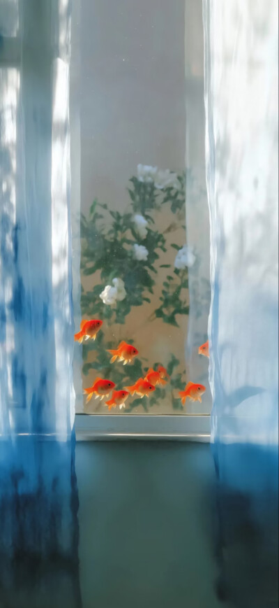 壁纸