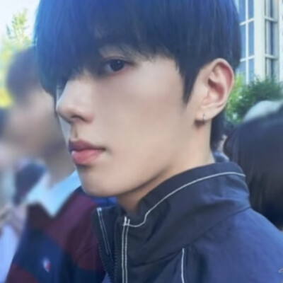 全李正